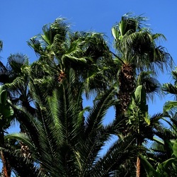 SELINUNTE. Fotografie di Giulio Azzarello ©2022. SELINUNTE. Fotografie di Giulio Azzarello ©2022.