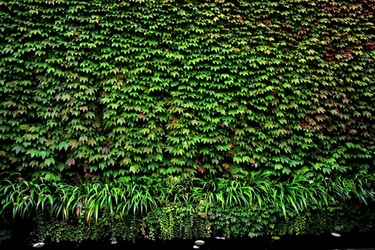 BIENNALE di VENEZIA Arte Contemporanea Giardini. Fotografie di Giulio Azzarello &copy;2020.