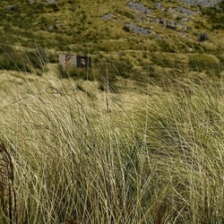 OSSERVAZIONI. Fotografie di Giulio Azzarello ©2022. OSSERVAZIONI. Fotografie di Giulio Azzarello ©2022.