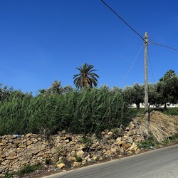 SELINUNTE. Fotografie di Giulio Azzarello ©2022. SELINUNTE. Fotografie di Giulio Azzarello ©2022.