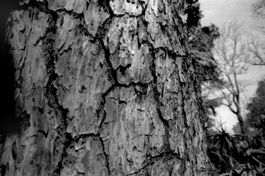 FOTOGRAFIE SPECIALI bianco e nero colore astratto concettuale grafico. Fotografie di Giulio Azzarello &copy;2014.