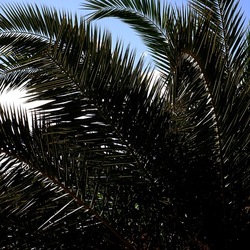 MONDELLO fotografie di Giulio Azzarello ©2021. MONDELLO fotografie di Giulio Azzarello ©2021.