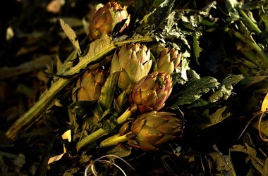 VUCCIRIA anni 90. Fotografie di Giulio Azzarello ©2022. VUCCIRIA anni 90. Fotografie di Giulio Azzarello ©2022.