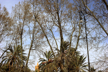 VILLA BONANNO a Palermo. Fotografie di Giulio Azzarello &copy;2016.