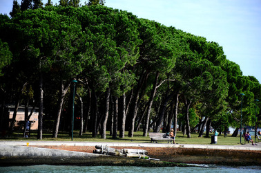 GIARDINI della BIENNALE a Venezia. Foto di Giulio Azzarello &copy;2015 2016.