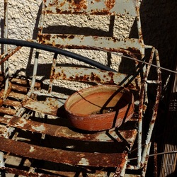 GIARDINO SICILIANO. Fotografie di Giulio Azzarello ©2022. GIARDINO SICILIANO. Fotografie di Giulio Azzarello ©2022.