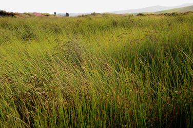 PAESAGGIO SICILIANO nel luogo delle macalube in Sicilia. Fotografie di Giulio Azzarello &copy;2014.