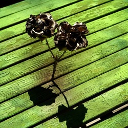 METALLICO. Fotografia di Giulio Azzarello &copy;2023.