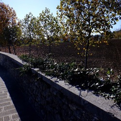 VICENZA La Rotonda di Andrea Palladio. Fotografie di Giulio Azzarello &copy;2022.