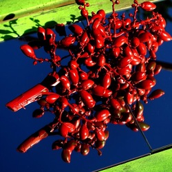 SPECCHIATI. Fotografia di Giulio Azzarello ©2023. SPECCHIATI. Fotografia di Giulio Azzarello ©2023.