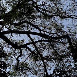 ORTO BOTANICO. Fotografie di Giulio Azzarello &copy;2024.
