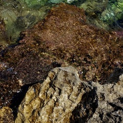 BAIA DEL CORALLO. Fotografie di Giulio Azzarello &copy;2022.