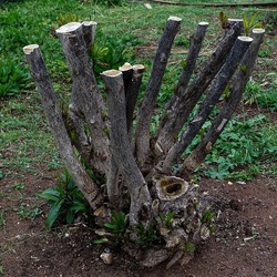 TRONCHI. Fotografie di Giulio Azzarello ©2022.