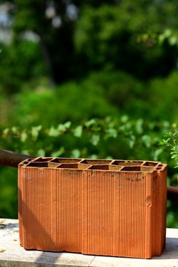 GIARDINO SICILIANO fotografie di Giulio Azzarello &copy;2020.