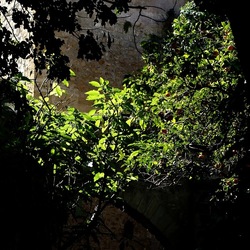 Arabo Normanno. Fotografie di Giulio Azzarello ©2024. Arabo Normanno. Fotografie di Giulio Azzarello ©2024.