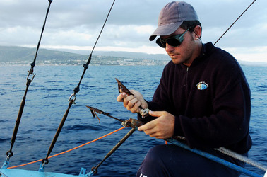 LE FELUCHE di Sicilia fotografie di Giulio Azzarello ©2014. LE FELUCHE di Sicilia fotografie di Giulio Azzarello ©2014.