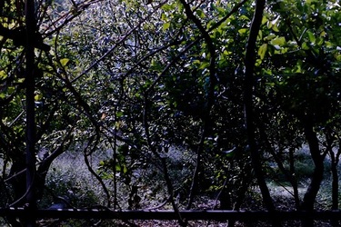 DIGITALIZZAZIONI fotografie di Giulio Azzarello &copy;2020.