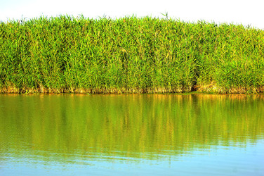 CANNETI in SICILIA. Fotografie di Giulio Azzarello &copy;2016.