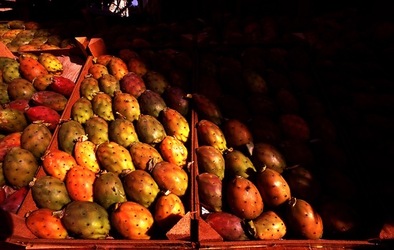 VUCCIRIA anni 90. Fotografie di Giulio Azzarello ©2022. VUCCIRIA anni 90. Fotografie di Giulio Azzarello ©2022.