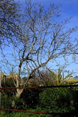 CAMPAGNA fotografie di Giulio Azzarello ©2020.