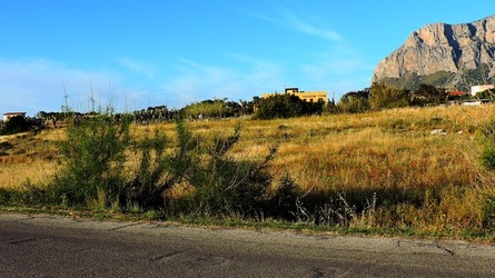 CAPO RAMA riserva naturale Terrasini. Fotografie di Giulio Azzarello &copy;2020.