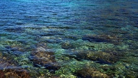 BAIA DEL CORALLO. Fotografie di Giulio Azzarello &copy;2022.