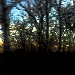 TRENO fotografie di Giulio Azzarello ©2020. TRENO fotografie di Giulio Azzarello ©2020.