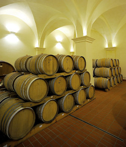 BOTTI per il vino. Fotografie di Giulio Azzarello ©2016. BOTTI per il vino. Fotografie di Giulio Azzarello ©2016.