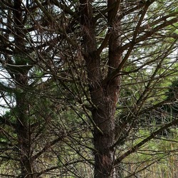 SELINUNTE. Fotografie di Giulio Azzarello ©2022. SELINUNTE. Fotografie di Giulio Azzarello ©2022.