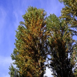 ROMA fotografie di Giulio Azzarello &copy;2022.