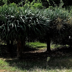 ZISA. Fotografie di Giulio Azzarello &copy;2023.