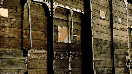 AUSCHHWITZ BIRKENAU la commemorazione. Fotografie di Giulio Azzarello &copy;2016.