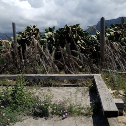 TERRASINI. Fotografie di Giulio Azzarello &copy;2022.