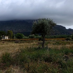 CAMMINANDO. Fotografie di Giulio Azzarello &copy;2024.