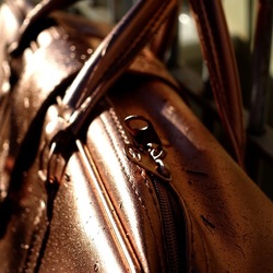 NATURE MORTE. Fotografie di Giulio Azzarello ©2024. NATURE MORTE. Fotografie di Giulio Azzarello ©2024.