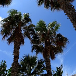 SAN VITO LO CAPO. Fotografie di Giulio Azzarello &copy;2023.