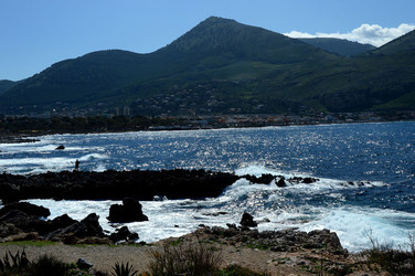 CAPO GALLO riserva marina e naturalistica a Palermo panoramiche e particolari. Fotografie di Giulio Azzarello ©2014. CAPO GALLO riserva marina e naturalistica a Palermo panoramiche e particolari. Fotografie di Giulio Azzarello ©2014.