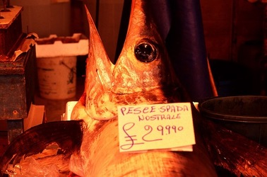 VUCCIRIA anni 90. Fotografie di Giulio Azzarello ©2022. VUCCIRIA anni 90. Fotografie di Giulio Azzarello ©2022.