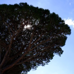 MONDELLO fotografie di Giulio Azzarello ©2021. MONDELLO fotografie di Giulio Azzarello ©2021.