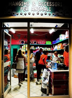 NEGOZIO di ANIMALI. Fotografie di Giulio Azzarello ©2018. NEGOZIO di ANIMALI. Fotografie di Giulio Azzarello ©2018.