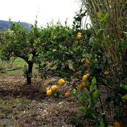 CAMMINANDO. Fotografie di Giulio Azzarello &copy;2024.