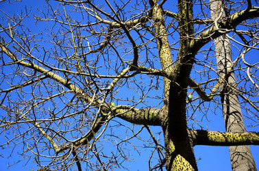 MACCHIA MEDITERRANEA in Sicilia. Fotografie di Giulio Azzarello &copy;2106.