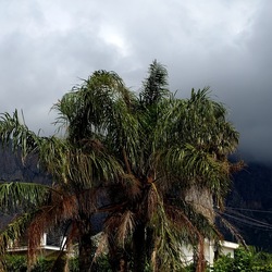 CAMMINANDO. Fotografie di Giulio Azzarello &copy;2024.