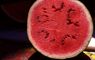 VUCCIRIA anni 90. Fotografie di Giulio Azzarello ©2022. VUCCIRIA anni 90. Fotografie di Giulio Azzarello ©2022.