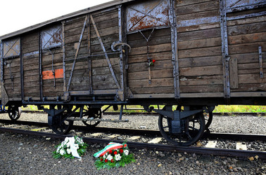 AUSCHIWITZ BIRKENAU il luogo della storia il campo. Fotografie di Giulio Azzarello &copy;2016.