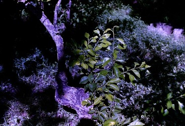 DIGITALIZZAZIONI fotografie di Giulio Azzarello &copy;2020.