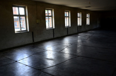 AUSCHWITZ BIRKENAU il percorso della memoria e i documenti. Fotografie di Giulio Azzarello &copy;2016.