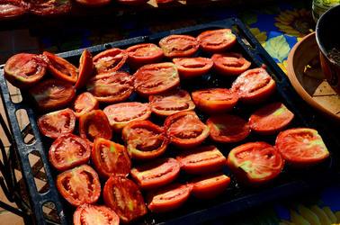 ISOLA DI USTICA il paese. Fotografie di Giulio Azzarello ©2016. ISOLA DI USTICA il paese. Fotografie di Giulio Azzarello ©2016.