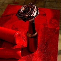 NATURE MORTE. Fotografie di Giulio Azzarello ©2024. NATURE MORTE. Fotografie di Giulio Azzarello ©2024.