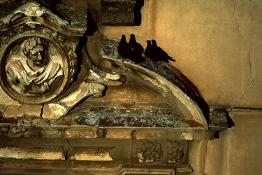 KALSA fotografie di Giulio Azzarello &copy;2020.